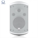Loa Turbosound TCI52-TR 10